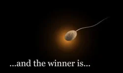 The Benefits of Banking on Life